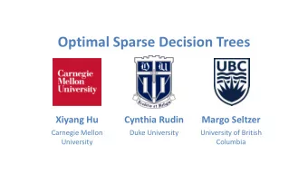Optimal Sparse Decision Trees  Xiyang Hu  Cynthia Rudin  Margo Seltzer  Carnegie Mellon  Duke