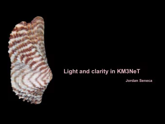 Light and clarity in KM3NeT  Jordan Seneca  My goal for this presentation  Inspire, stimulate