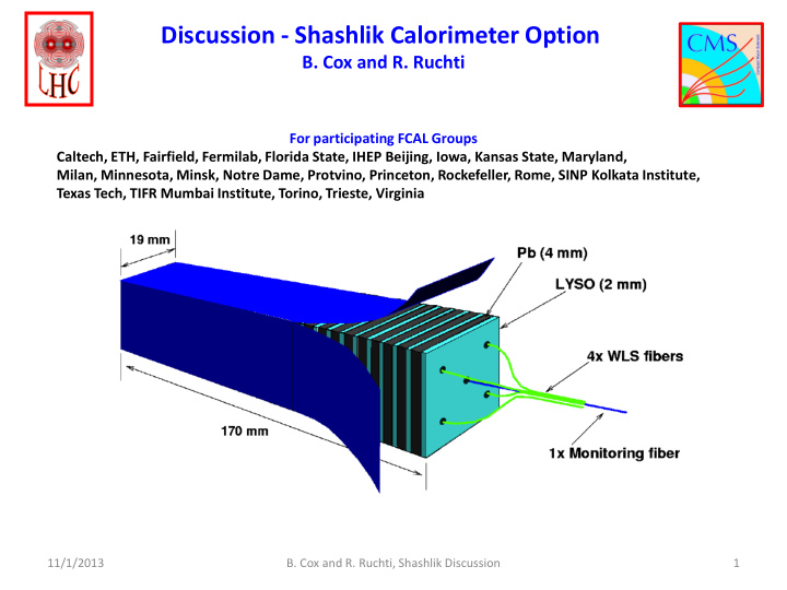discussion shashlik calorimeter option