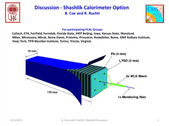 Discussion - Shashlik Calorimeter Option  B. Cox and R. Ruchti  For participating FCAL Groups