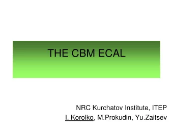 THE CBM ECAL  NRC Kurchatov Institute, ITEP  I. Korolko, M.Prokudin, Yu.Zaitsev  The CBM detector
