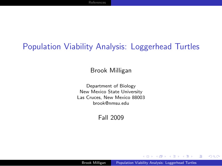 population viability analysis loggerhead turtles