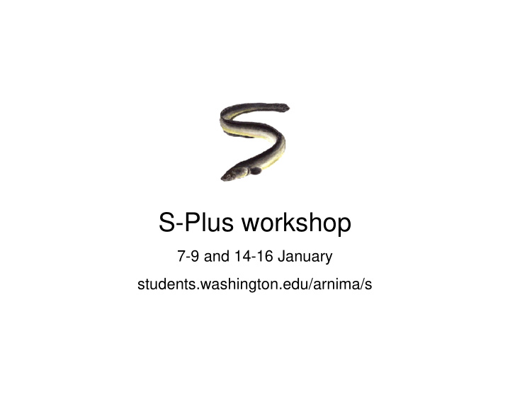 s plus workshop