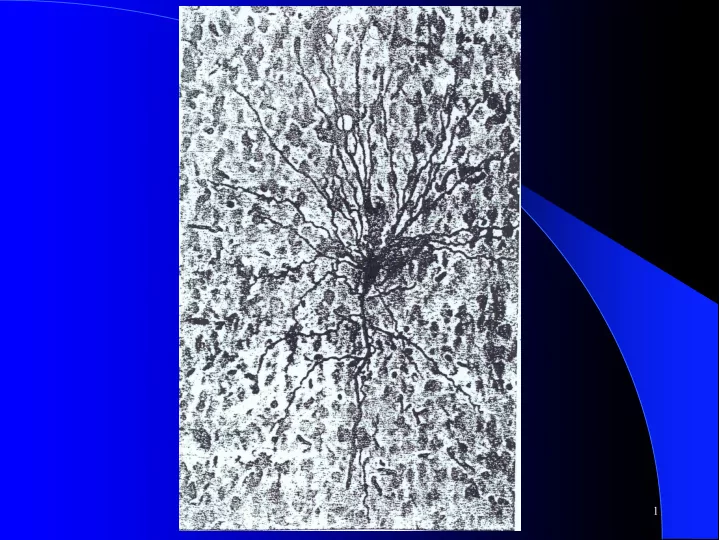 cs 472 perceptron 1 basic neuron