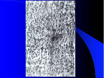 CS 472 - Perceptron  1  Basic Neuron  CS 472 - Perceptron  2  Expanded Neuron  CS 472 - Perceptron