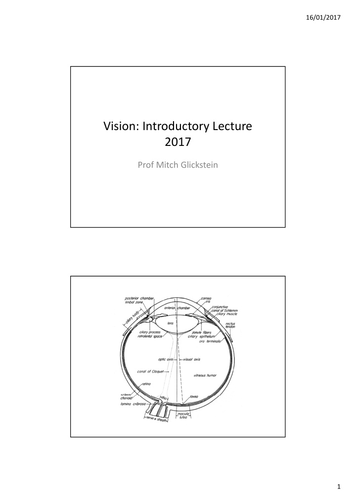 vision introductory lecture 2017