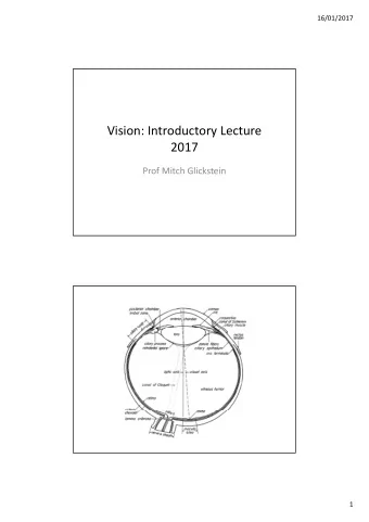 Vision: Introductory Lecture  2017  Prof Mitch Glickstein  1  16/01/2017  2  16/01/2017  It