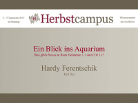 ein blick ins aquarium
