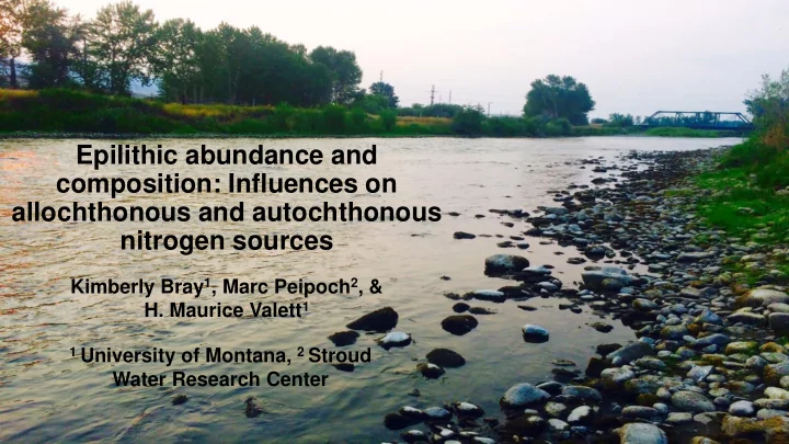 epilithic abundance and
