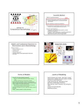 1  Physiological Models of Action Potentials  Hodgkin and Huxley (1952)  Data from intracellular