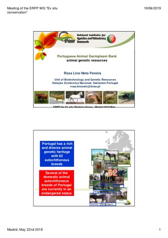 62  Several of the  Pedrs  domestic animal  Garrano  Preta de Montesinho  autochthonous  Serra da