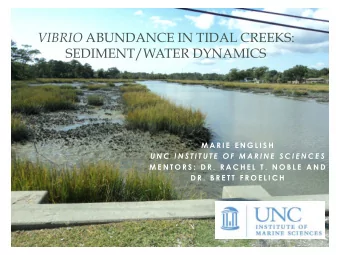 VIBRIO ABUNDANCE IN TIDAL CREEKS:  SEDIMENT/WATER DYNAMICS  M A R I E  E N G L I S H  U N C  I N S