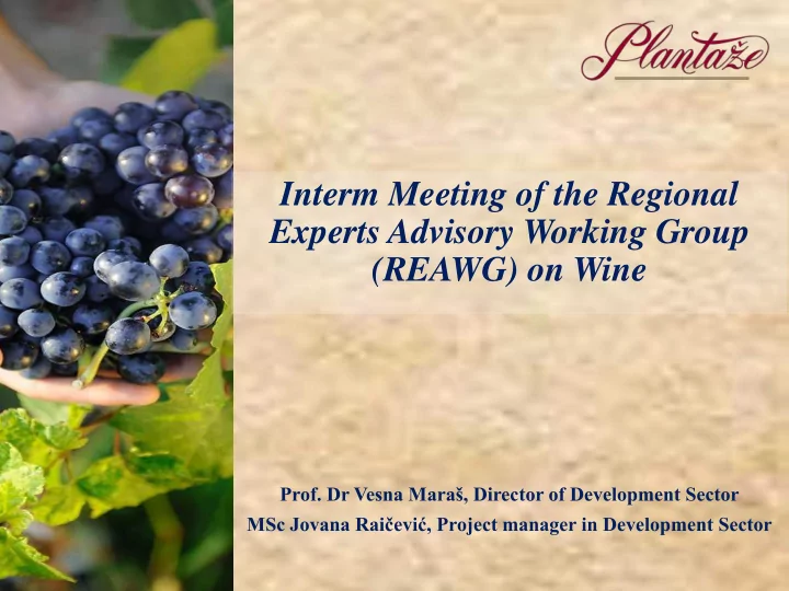 interm meeting of the regional experts advisory working