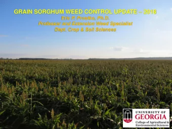 GRAIN SORGHUM WEED CONTROL UPDATE  2018  Eric P. Prostko, Ph.D.  Professor and Extension Weed