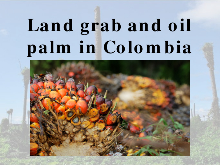 land grab and oil palm in colom bia sum m ary