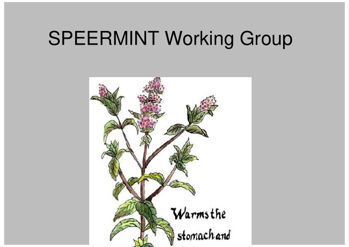 speermint working group administriva