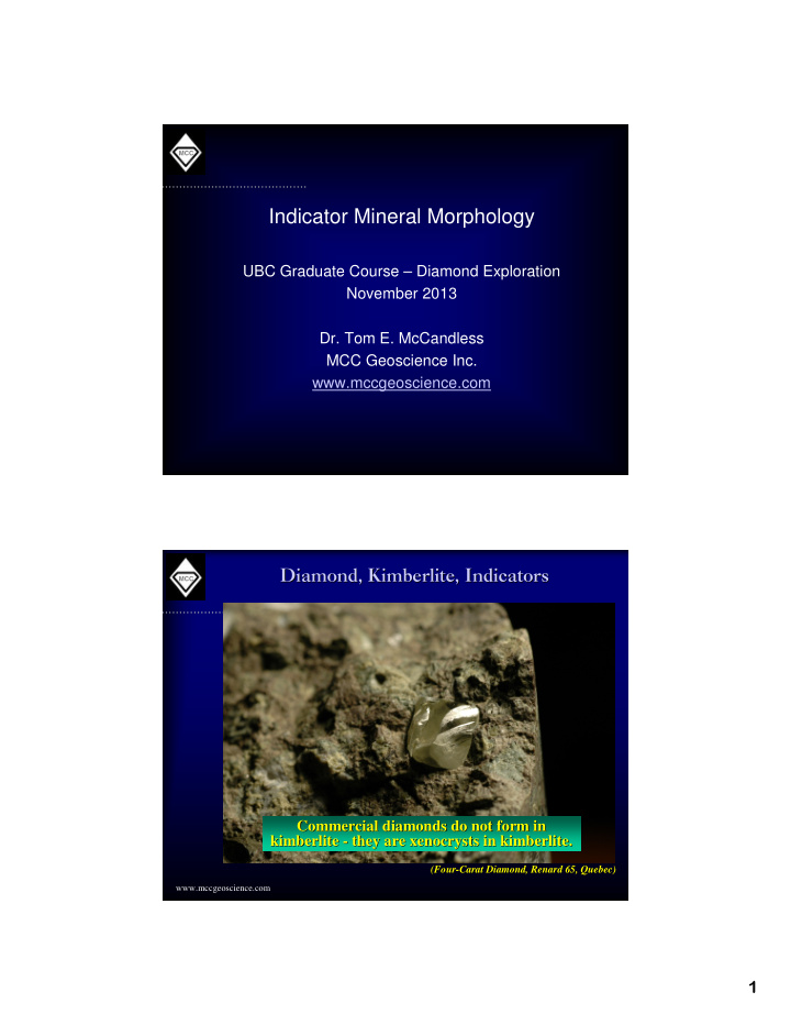 indicator mineral morphology
