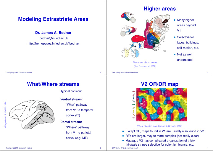 higher areas modeling extrastriate areas