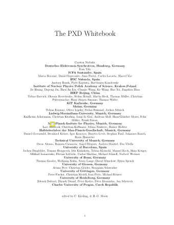 The PXD Whitebook  Carsten Niebuhr  Deutsches Elektronen-Synchrotron, Hamburg, Germany  Ivan Vila