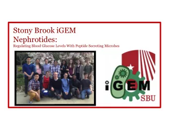 Stony Brook iGEM  Nephrotides:  Regulating Blood Glucose Levels With Peptide Secreting Microbes