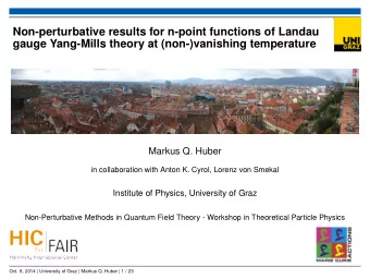 Non-perturbative results for n-point functions of Landau  gauge Yang-Mills theory at
