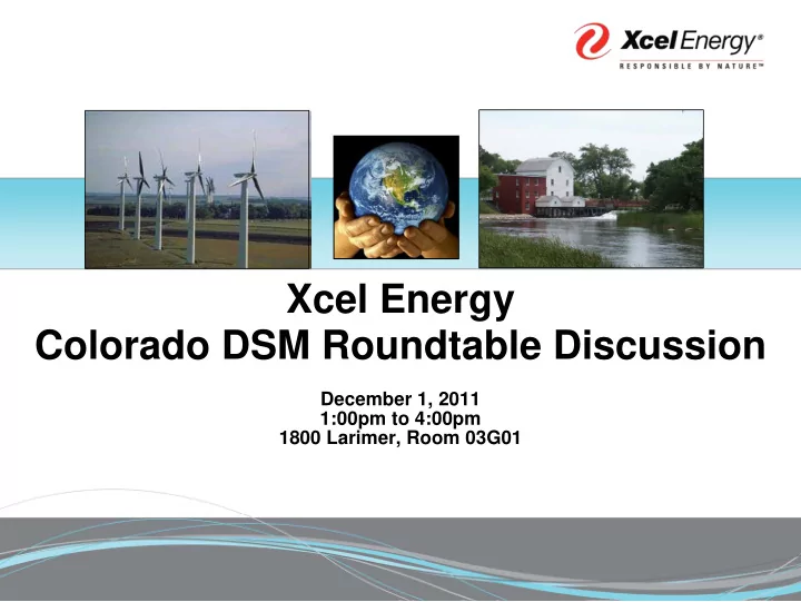 xcel energy colorado dsm roundtable discussion