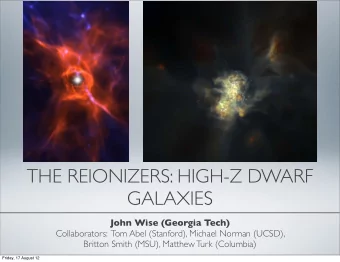 THE REIONIZERS: HIGH-Z DWARF  GALAXIES  John Wise (Georgia Tech)  Collaborators:  Tom Abel