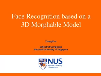 Face Recognition based on a  3D Morphable Model  Zhang Kun  School Of Computing  National