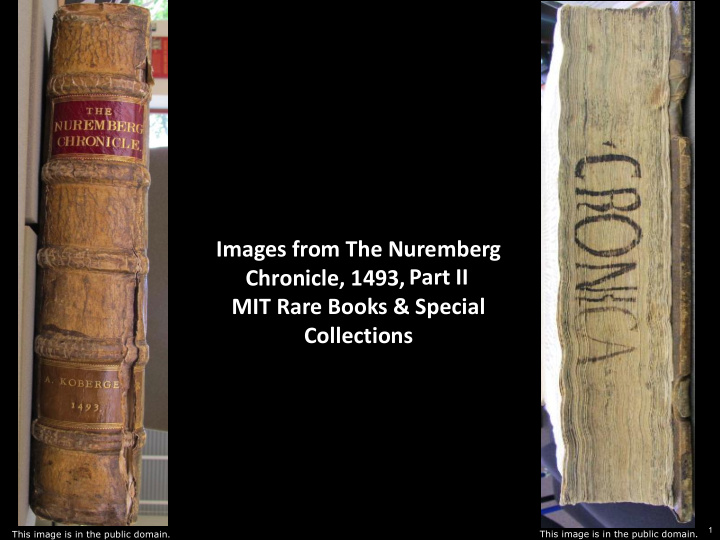 images from the nuremberg part ii chronicle 1493 mit rare