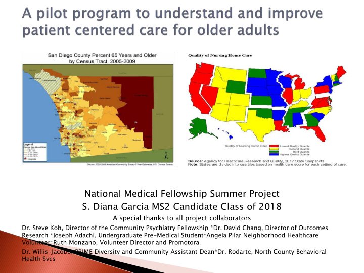 national medical fellowship summer project