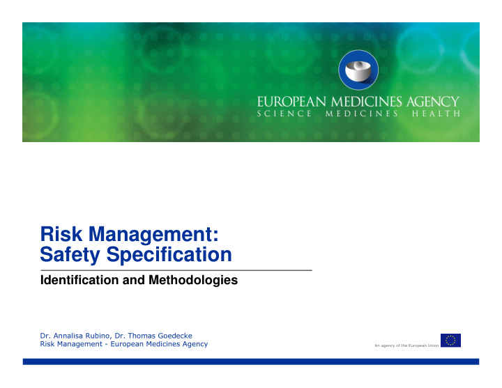 risk management safety specification