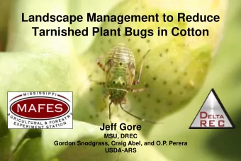 Landscape Management to Reduce  Tarnished Plant Bugs in Cotton  Jeff Gore  MSU, DREC  Gordon