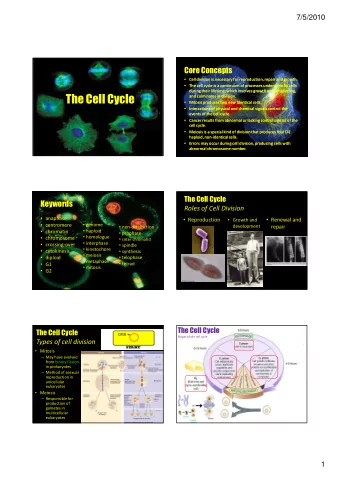 and culminates in division.  and culminates in