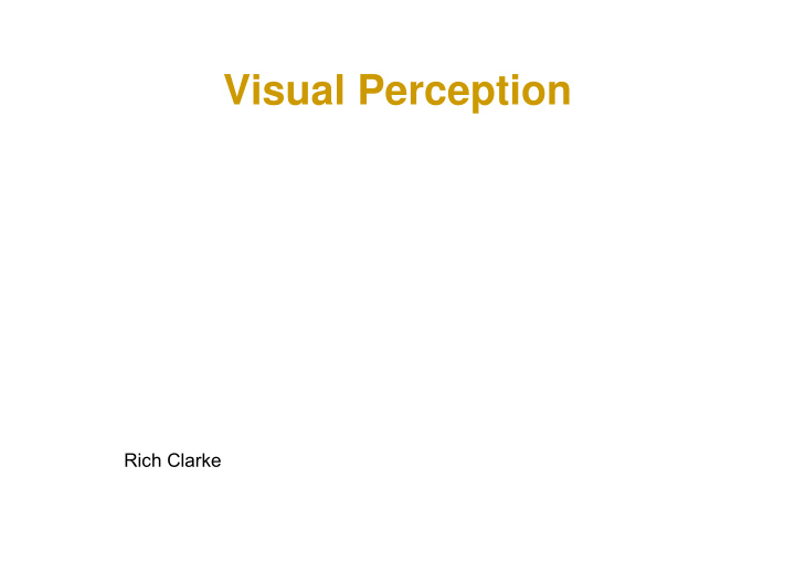 visual perception visual perception