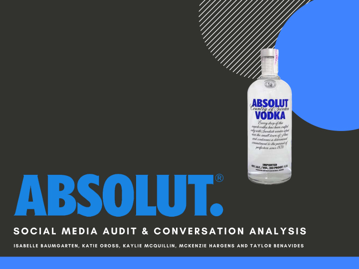 social media audit conversation analysis