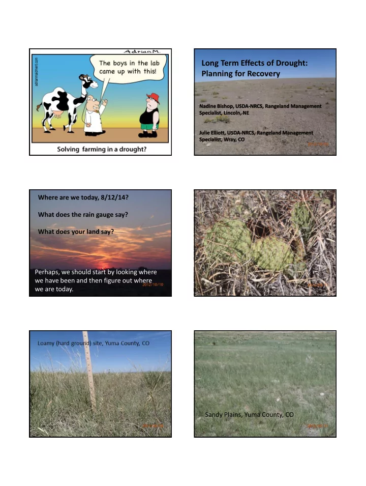 long term effects of drought planning for recovery