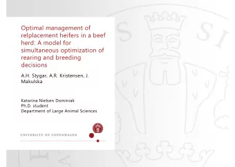 Optimal management of  relplacement heifers in a beef  herd: A model for  simultaneous optimization