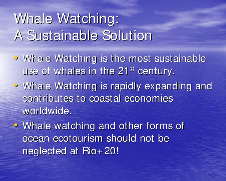 whale watching whale watching a sustainable solution a