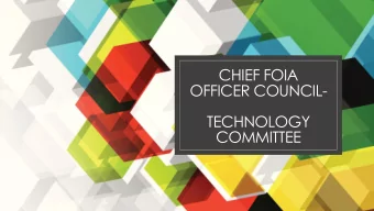 CHIEF FOIA  OFFICER COUNCIL-  TECHNOLOGY  COMMITTEE  CFO TECHNOLOGY COMMITTEE  ERIC F. STEIN, U.S.