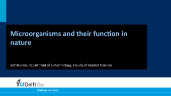 Microorganisms  and  their  func2on  in    nature    Sef  Heijnen,