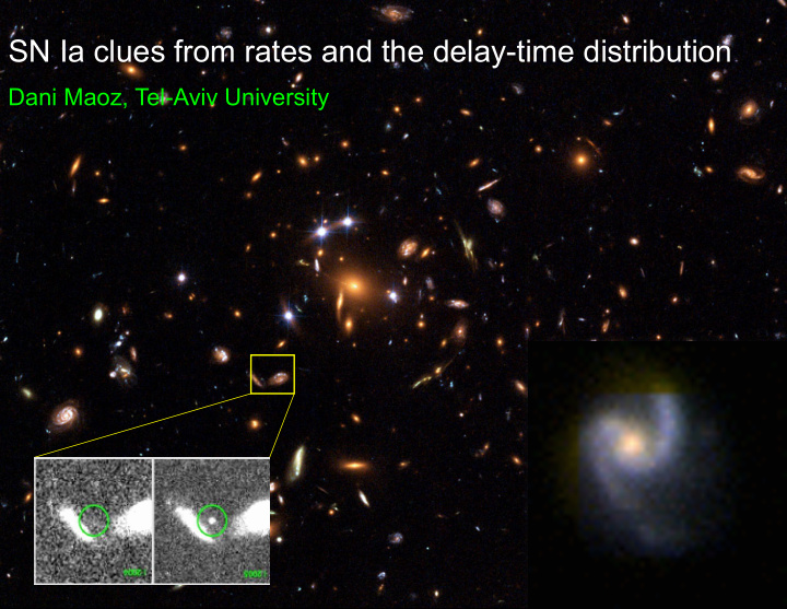 sn ia clues from rates and the delay time distribution