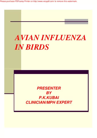 AVIAN INFLUENZA  IN BIRDS  PRESENTER  BY  P.K.KUBAI  CLINICIAN/MPH EXPERT  Please purchase PDFcamp