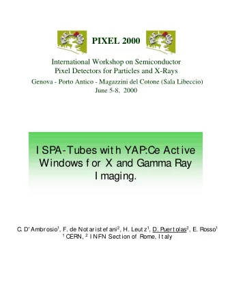 I SPA-Tubes wit h YAP:Ce Act ive  Windows f or X and Gamma Ray  I maging. C. D' Ambr osio 1 , F. de