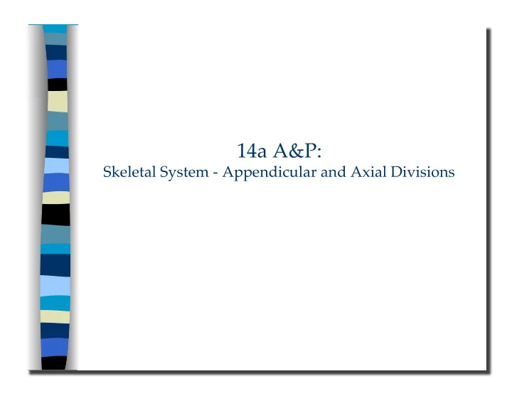 skeletal system appendicular and axial divisions 14a a