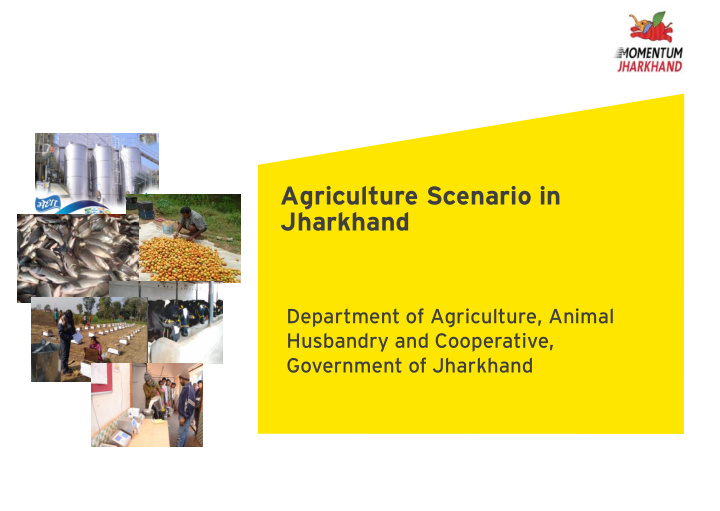 agriculture scenario in jharkhand