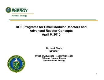 DOE Programs for Small Modular Reactors and  Advanced Reactor Concepts  April 6, 2010  Richard
