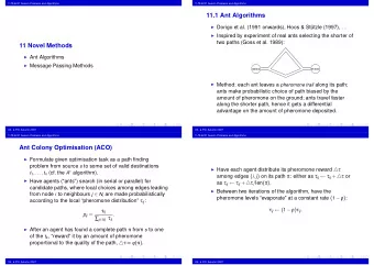 11.1 Ant Algorithms  Dorigo et al. (1991 onwards), Hoos &amp; Sttzle (1997), ...  Inspired