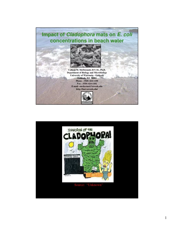 impact of cladophora mats on e coli concentrations in