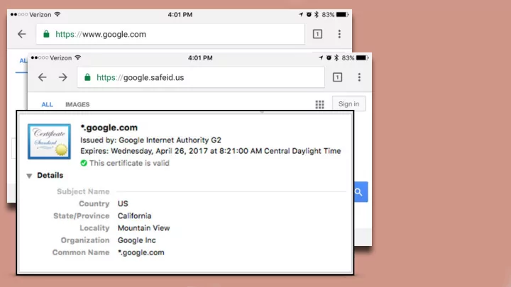 how does tls know this is really the google web site
