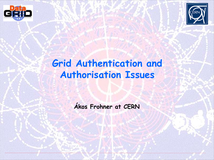 grid authentication and authorisation issues